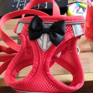 Red Dog Harness with Black Bow